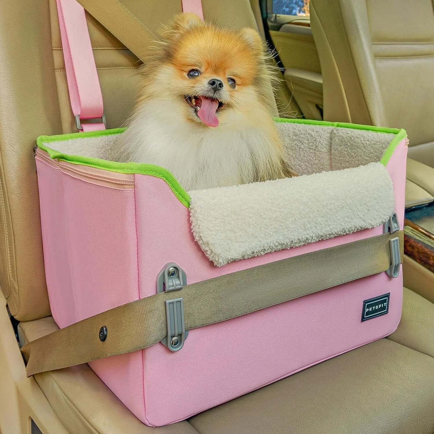 Small Dog Booster Car Seat