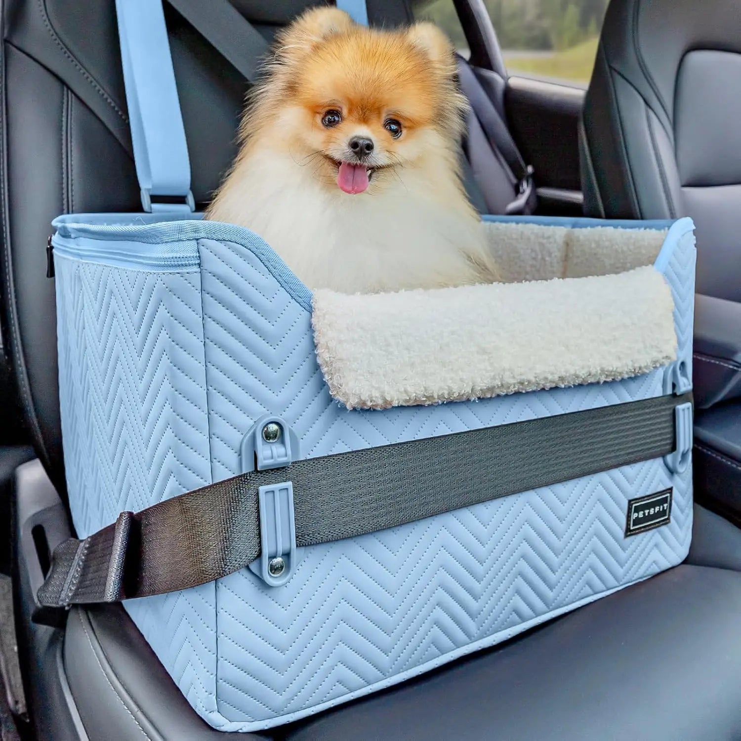 Small Dog Booster Car Seat