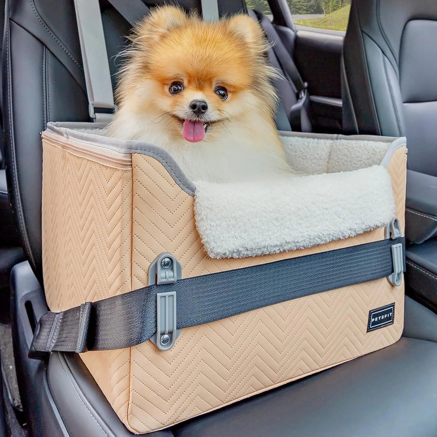 Small Dog Booster Car Seat