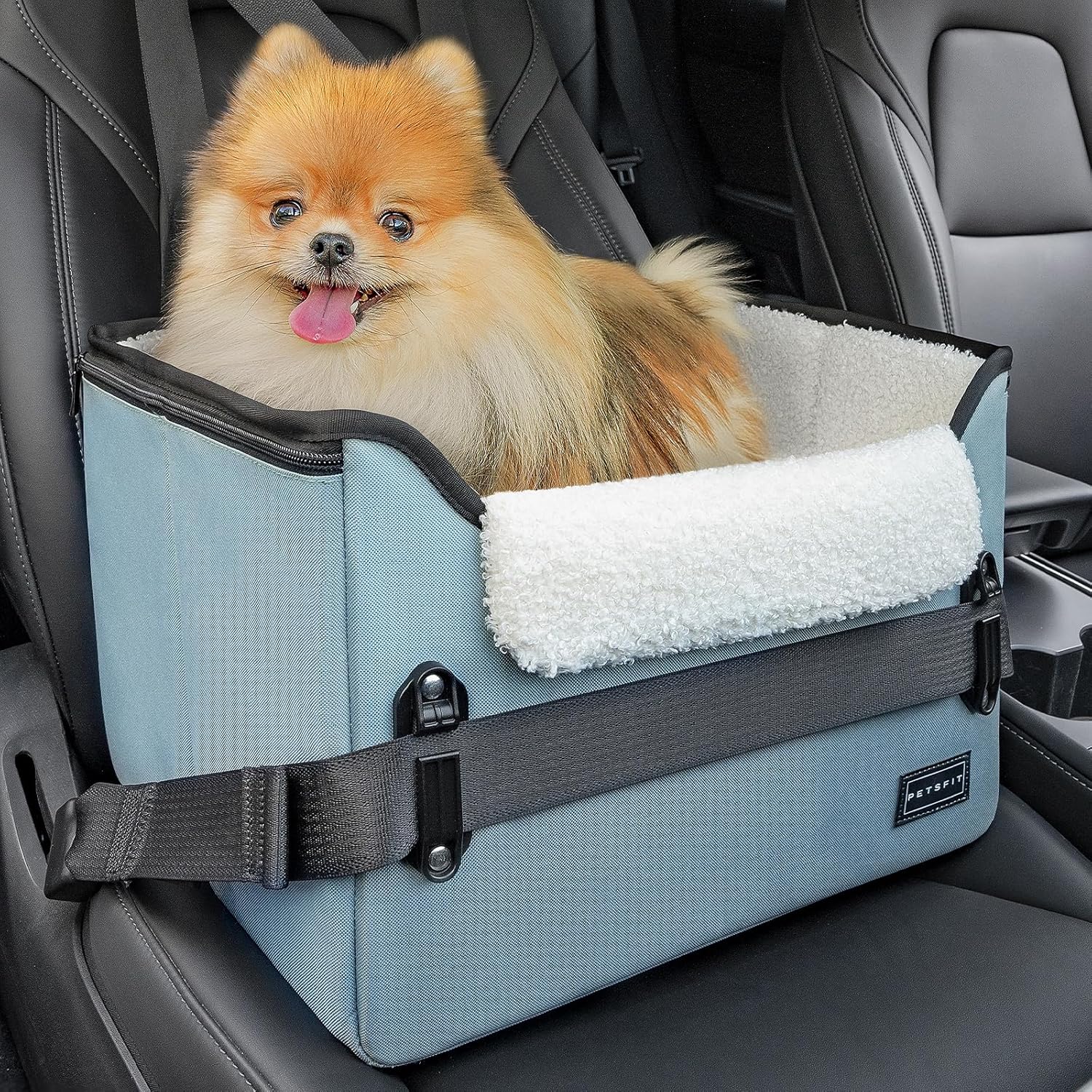 Small Dog Booster Car Seat