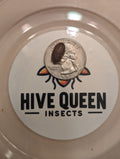 Live Organic Dubia Roaches for Reptiles