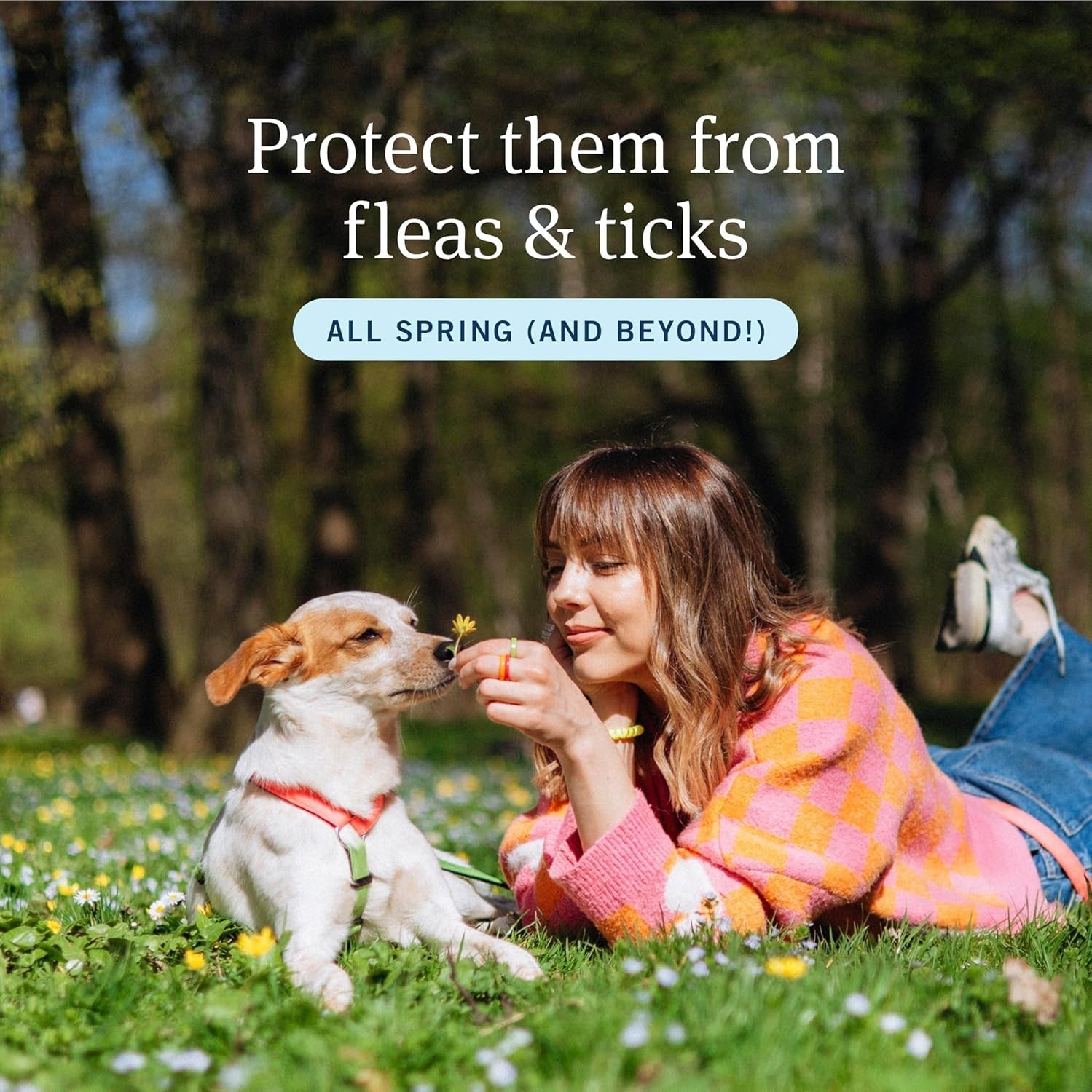 PetArmor Plus Flea Tick Treatment for Dogs