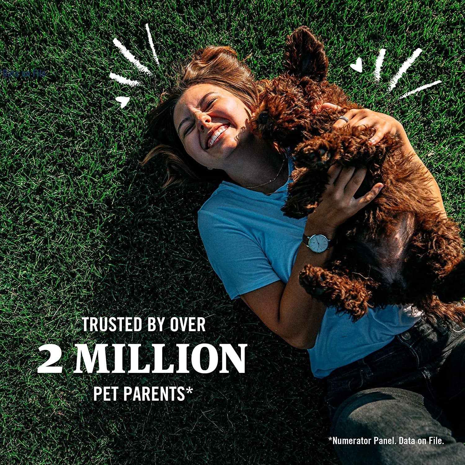 PetArmor Plus Flea Tick Treatment for Dogs