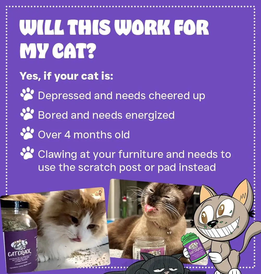 Premium Natural Catnip Blend for Cats