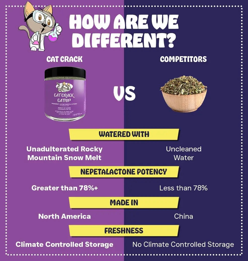 Premium Natural Catnip Blend for Cats
