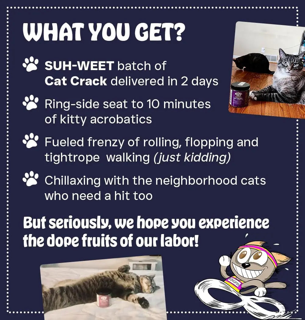 Premium Natural Catnip Blend for Cats