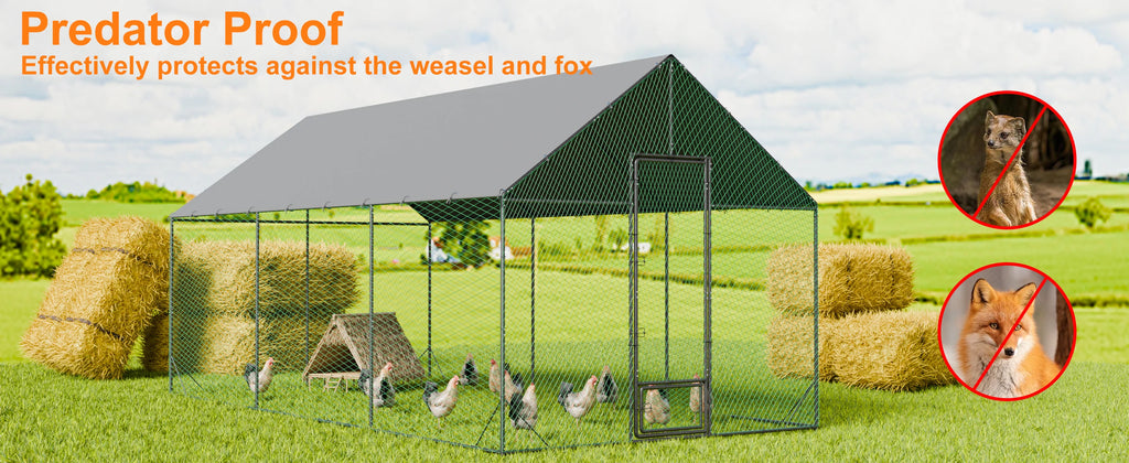 Heavy Duty Walk-In Outdoor Chicken Coop