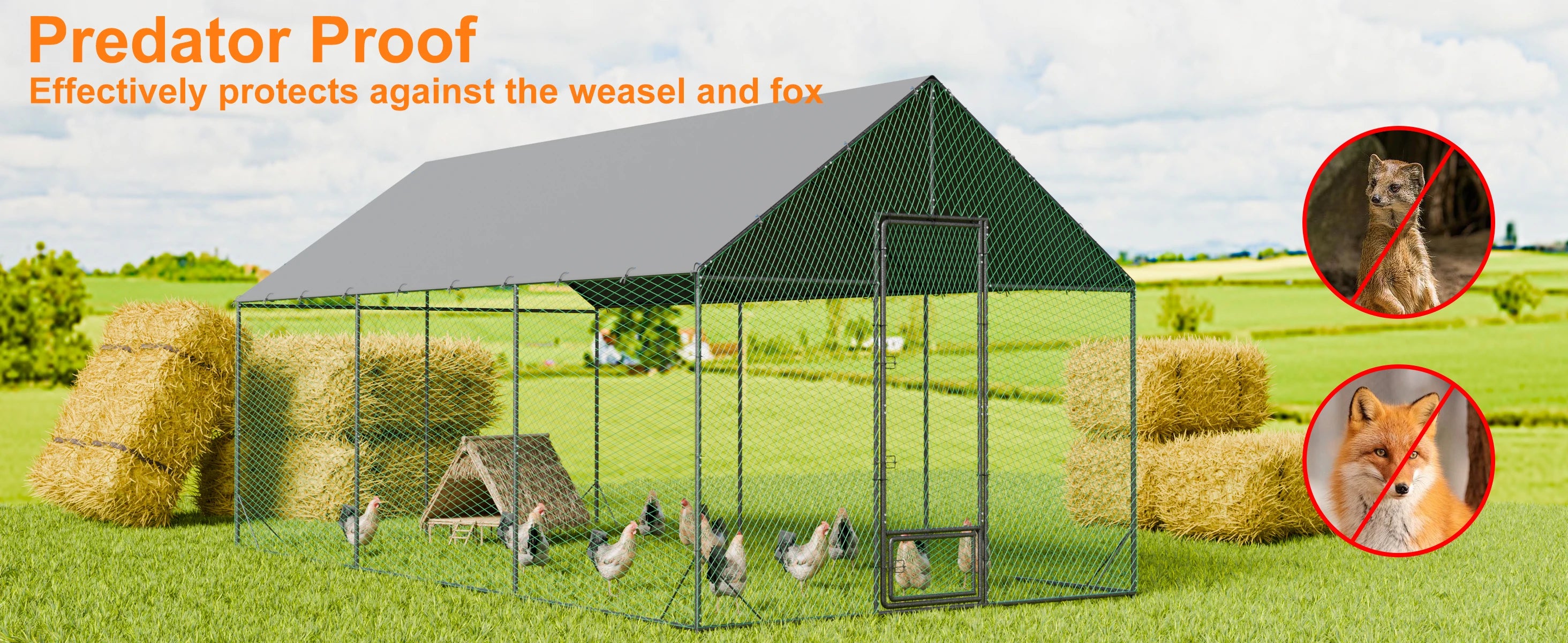Heavy Duty Walk-In Outdoor Chicken Coop
