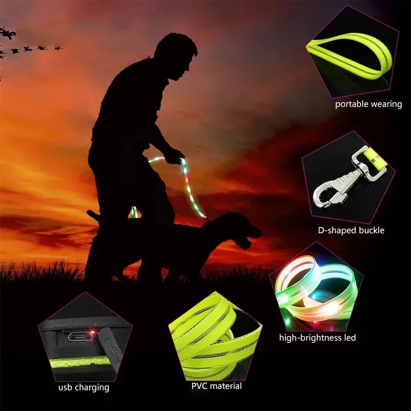 LED Light-Up Dog Leash – USB Rechargeable, 4 ft