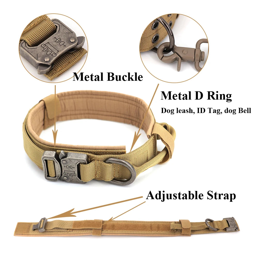 Training Harness And Leash Set