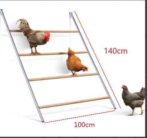 Chicken Perch And Ladder for Coop