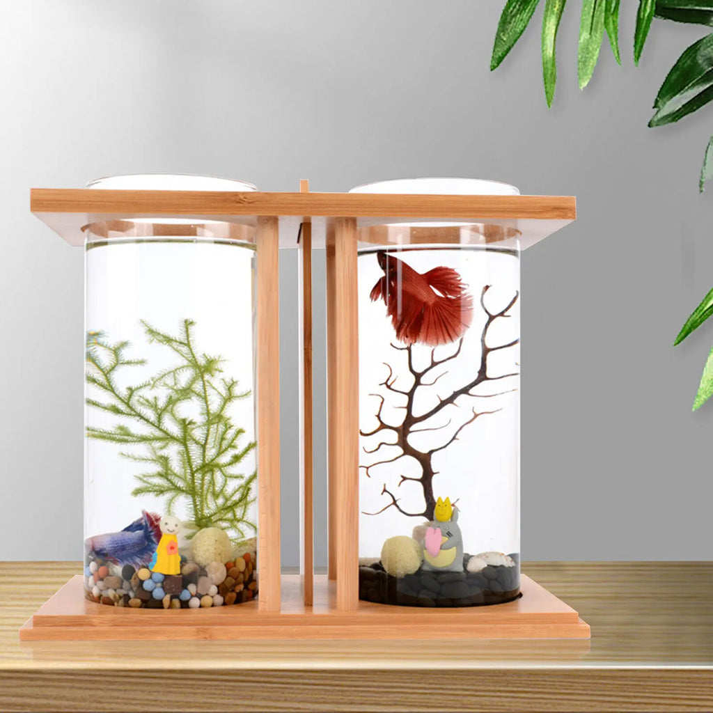 2 Glass Betta Fish Tanks
