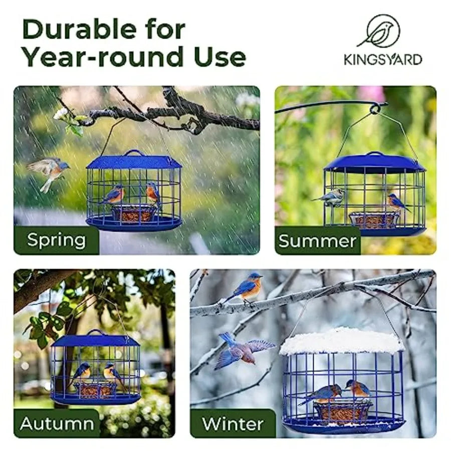 Bluebird Feeders for Outdoors