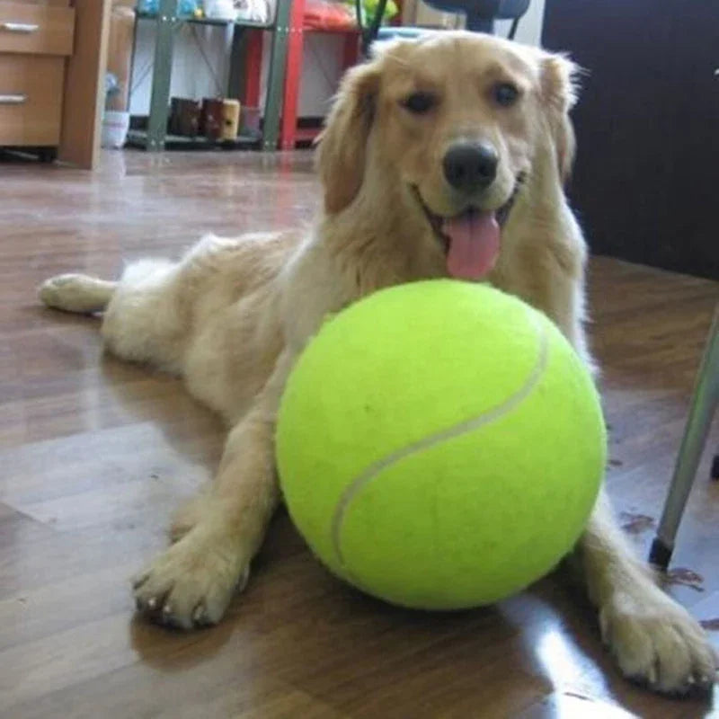 9.5" Giant Tennis Ball For Dogs