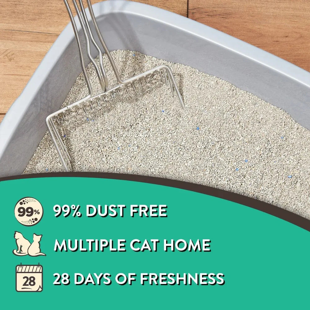 4-Pack Special Kitty Clumping Clay