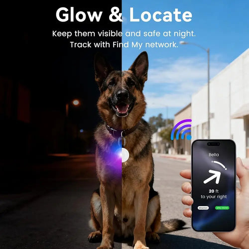 2-in-1 Dog GPS Tracker & LED Collar Light (iOS)