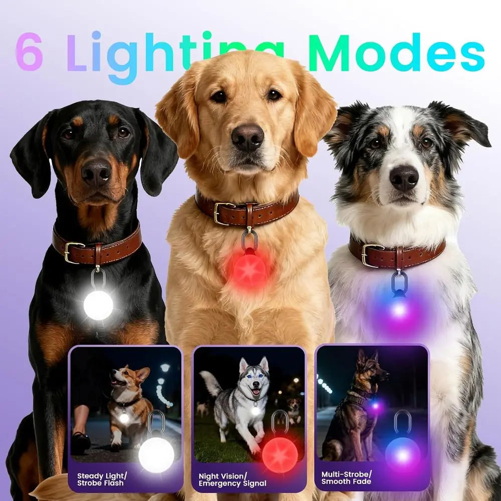 2-in-1 Dog GPS Tracker & LED Collar Light (iOS)