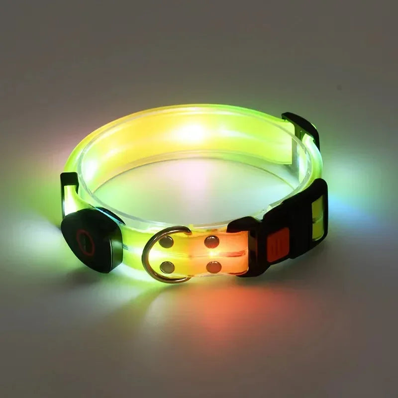 LED Light-Up Dog Leash – USB Rechargeable, 4 ft