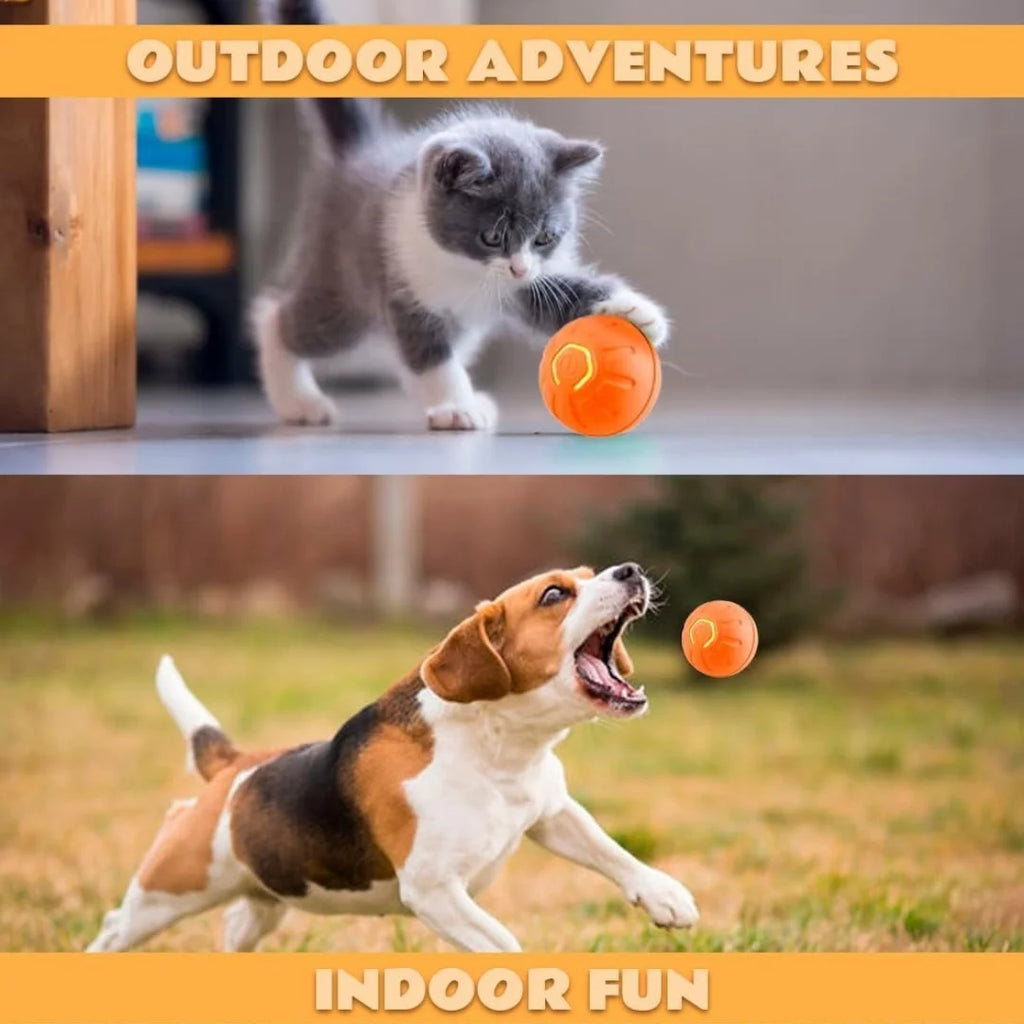 Smart Bouncing Dog Ball