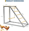 Chicken Perch And Ladder for Coop