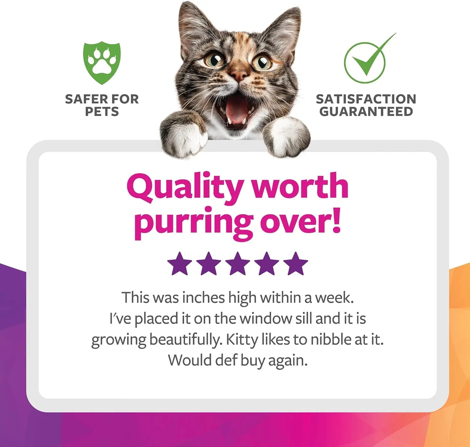 Organic Oat Grass For  Cats