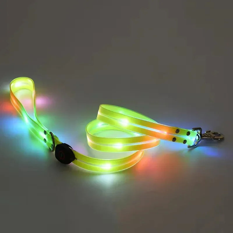 LED Light-Up Dog Leash – USB Rechargeable, 4 ft