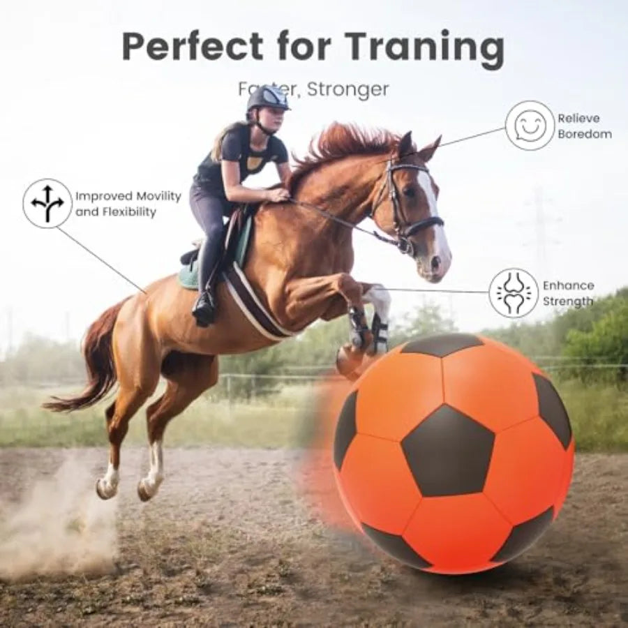 25 Inch Herding Ball for Dogs or Horses