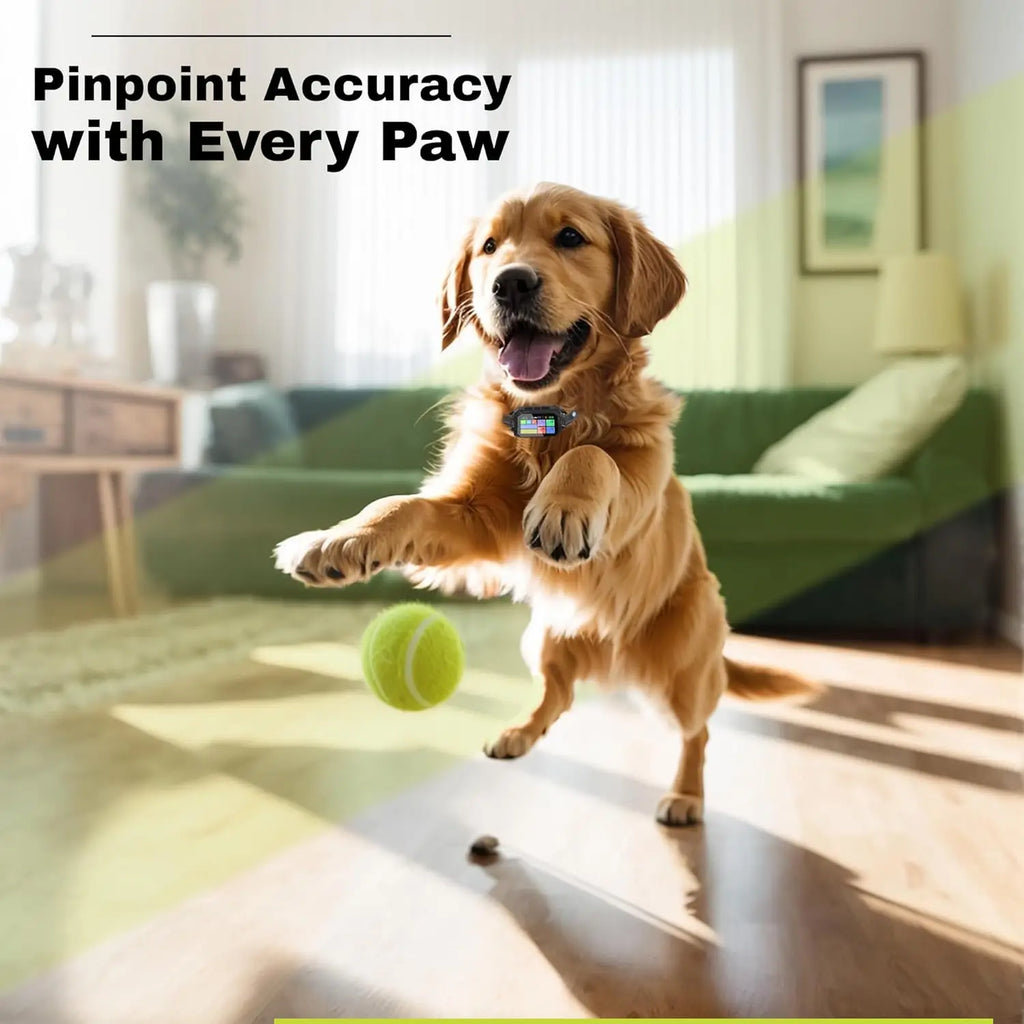 Customizable GPS Dog Collar Fence