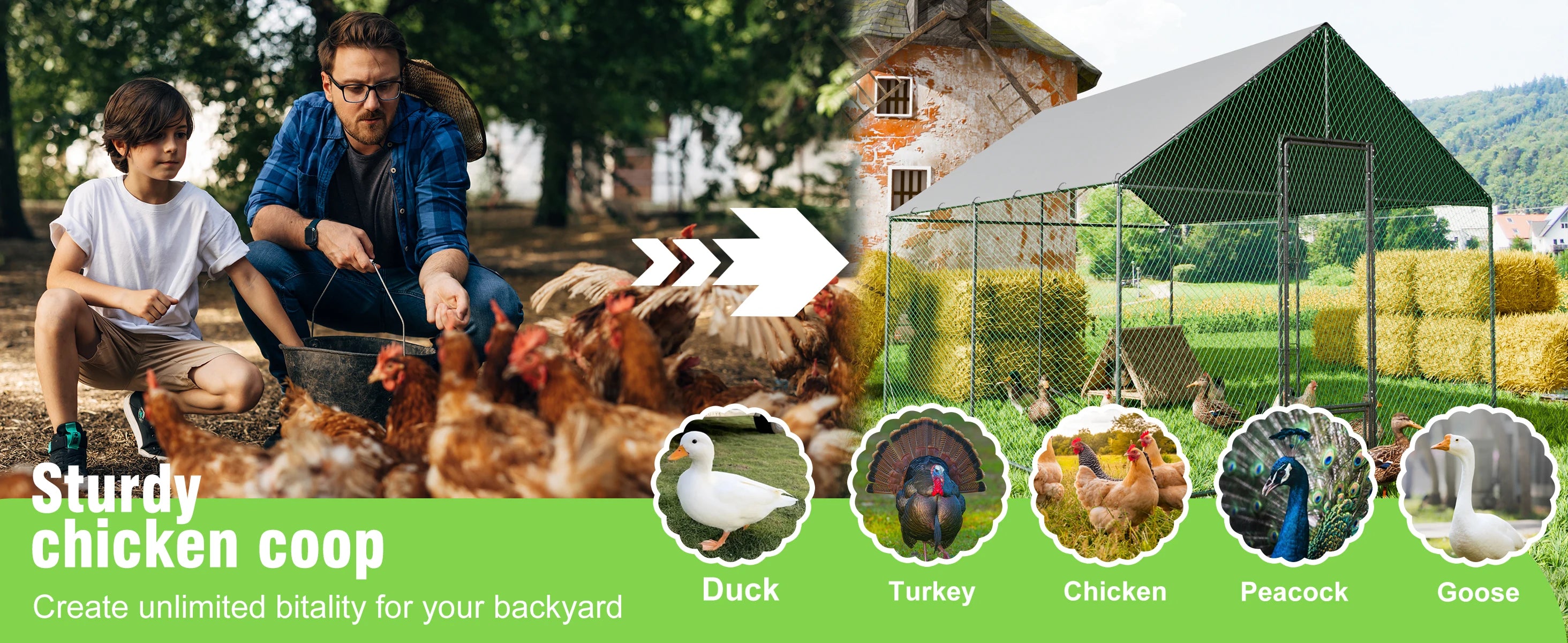 Heavy Duty Walk-In Outdoor Chicken Coop
