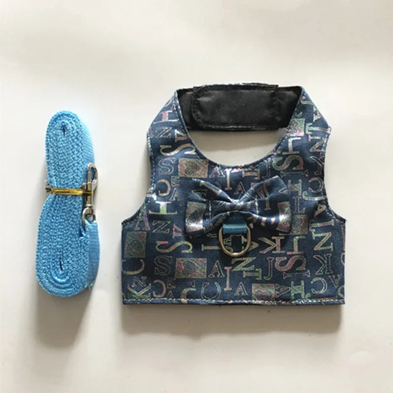 Small Animal Outdoor Walking Harness and Leash Set