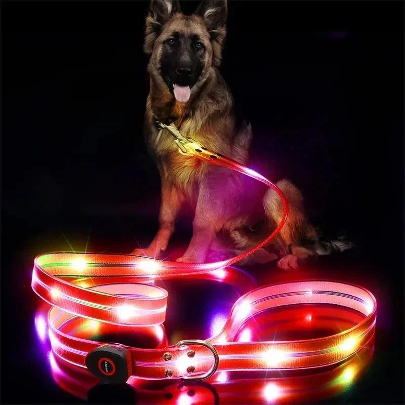 LED Light-Up Dog Leash – USB Rechargeable, 4 ft