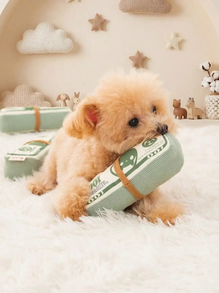 Green Money Stack Dog Chew Toy