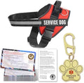 Service Dog Vest & Harness Kit with ID Cards