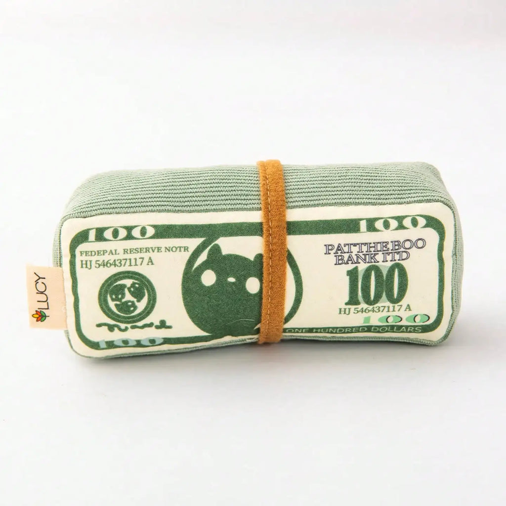 Green Money Stack Dog Chew Toy