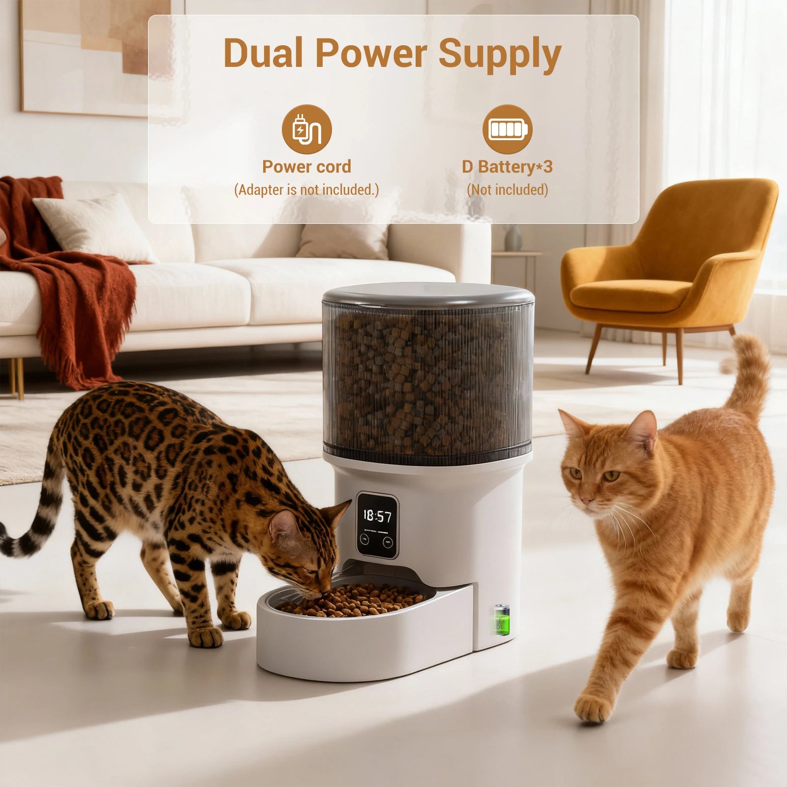 Automatic Cat Feeder with Timer & Portion Control