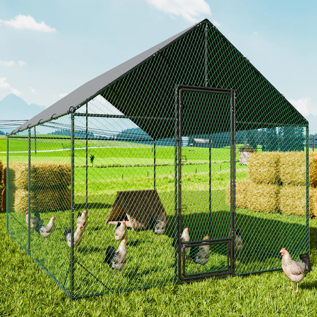 Heavy Duty Walk-In Outdoor Chicken Coop