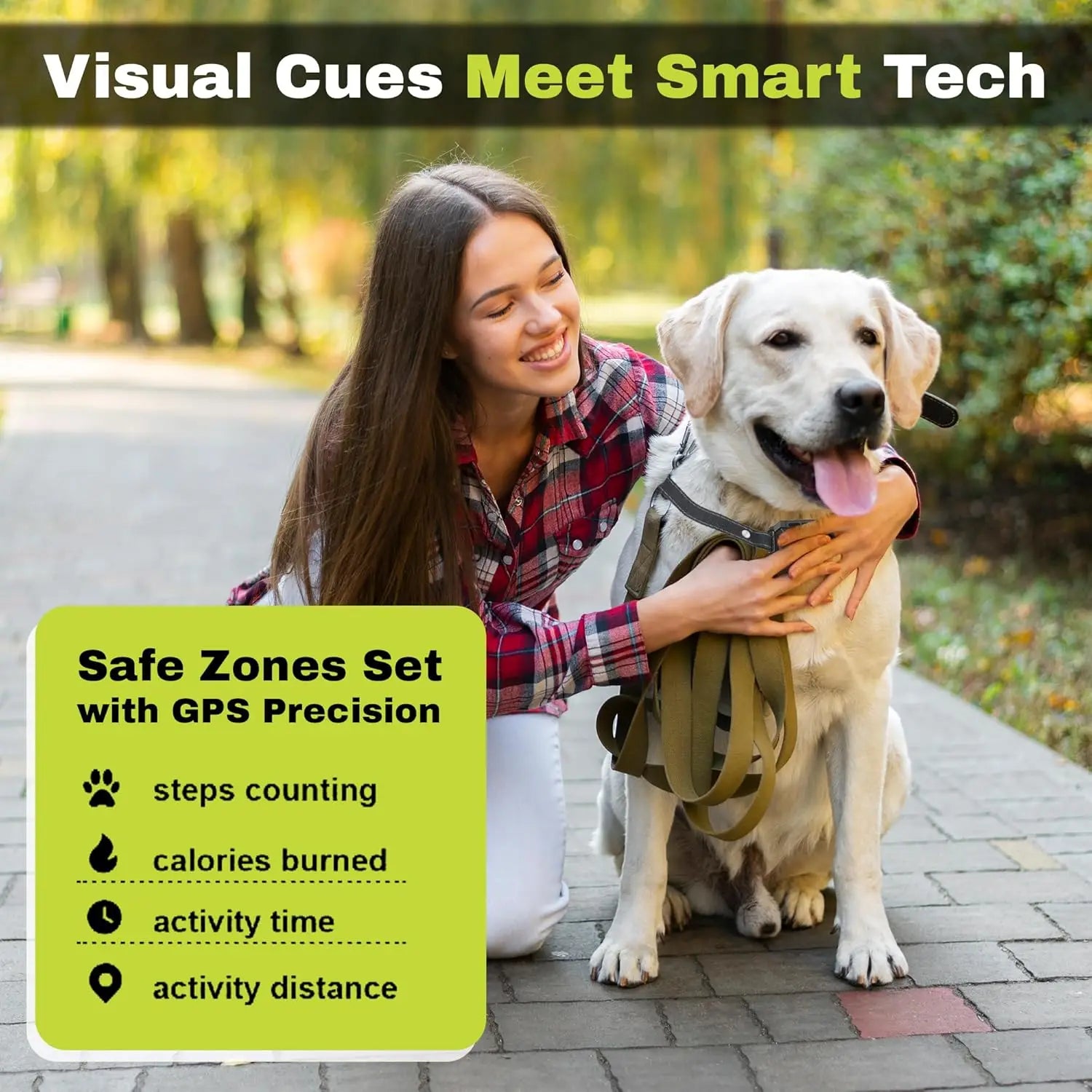 Customizable GPS Dog Collar Fence