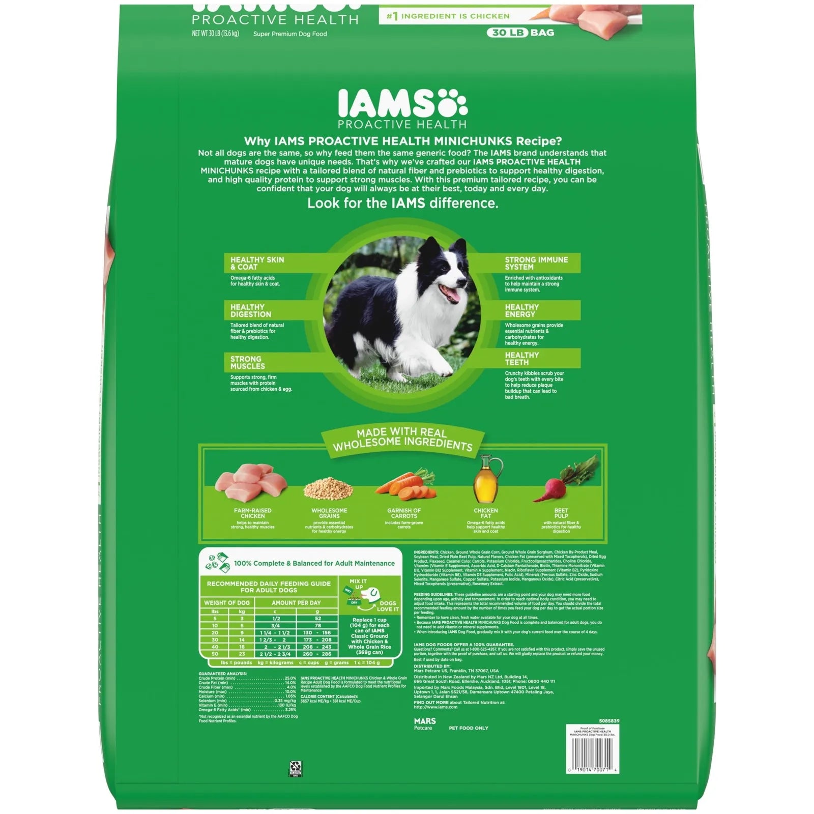 Iams Proactive Health Minichunks Dry Dog Food