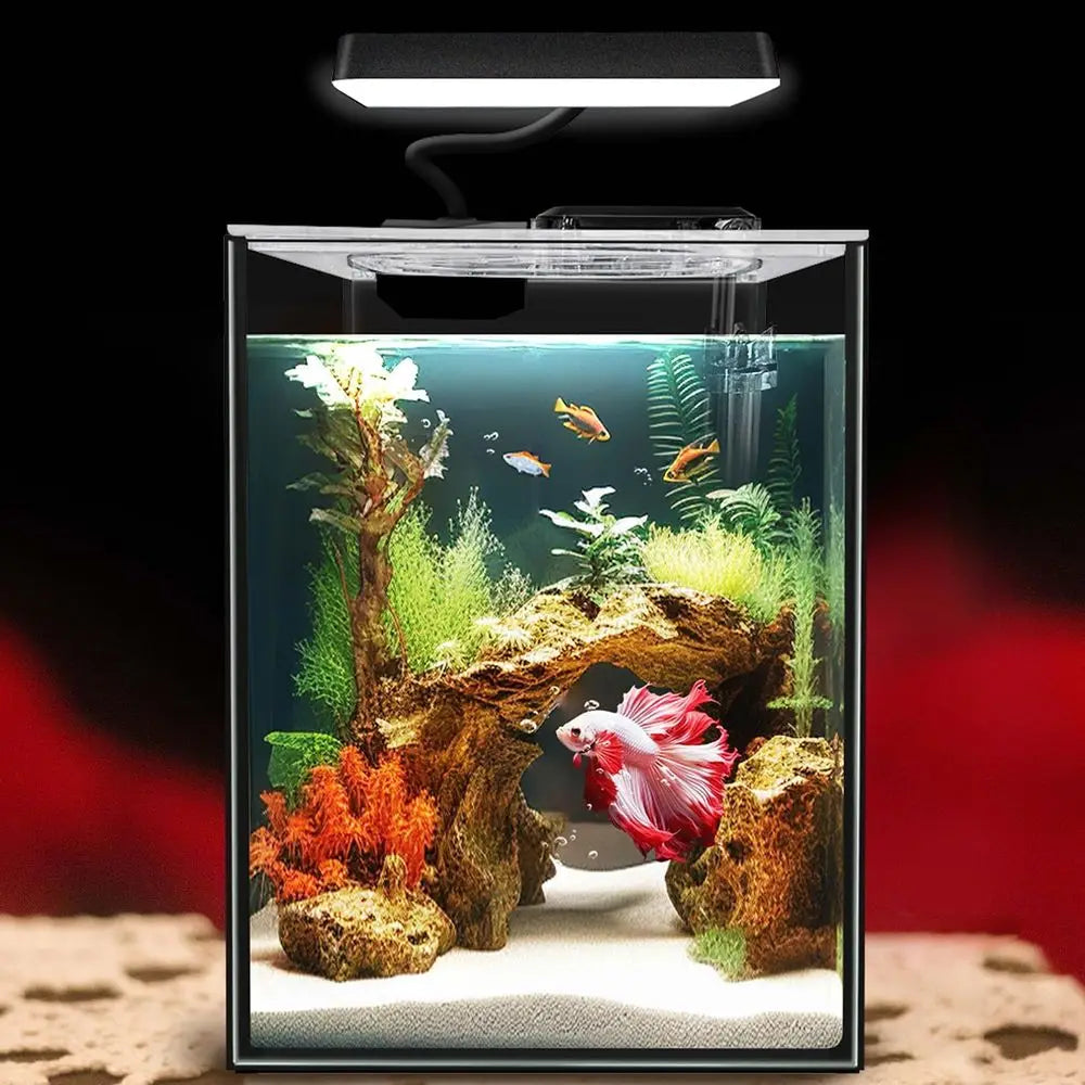 1.5 Gallon Betta Fish Tank with LED Light