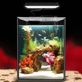 1.5 Gallon Betta Fish Tank with LED Light