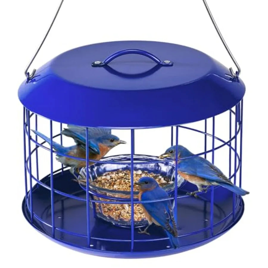 Bluebird Feeders for Outdoors