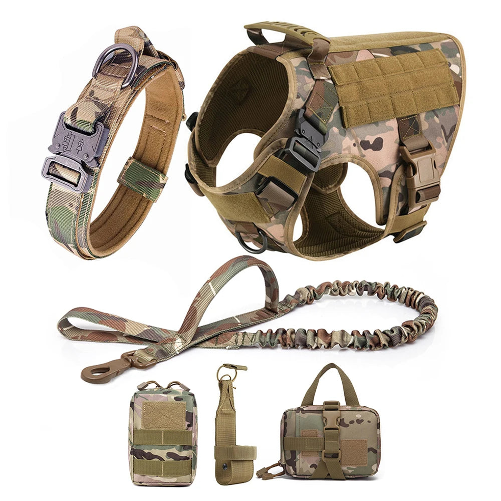 Training Harness And Leash Set