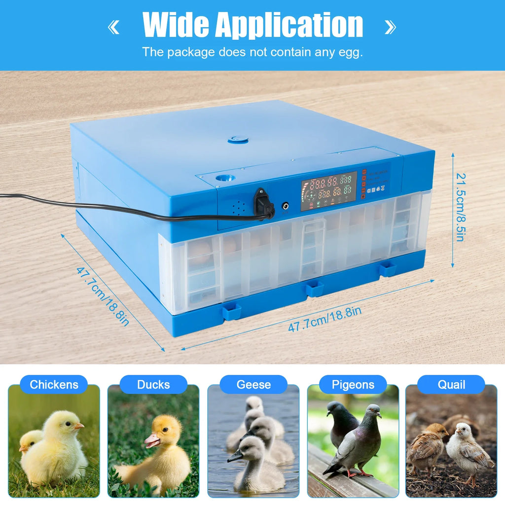 Smart  64 Egg Incubator