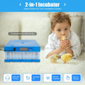 Smart  64 Egg Incubator