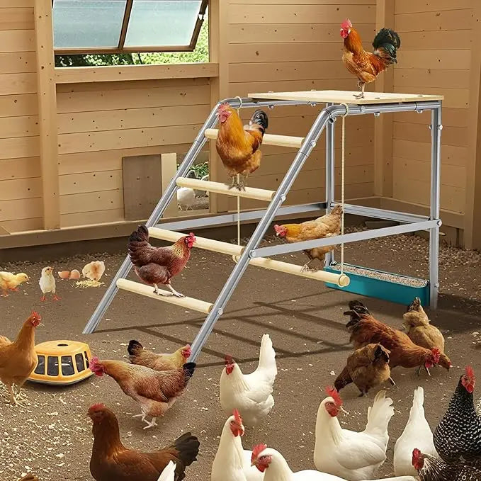 Chicken Perch And Ladder for Coop