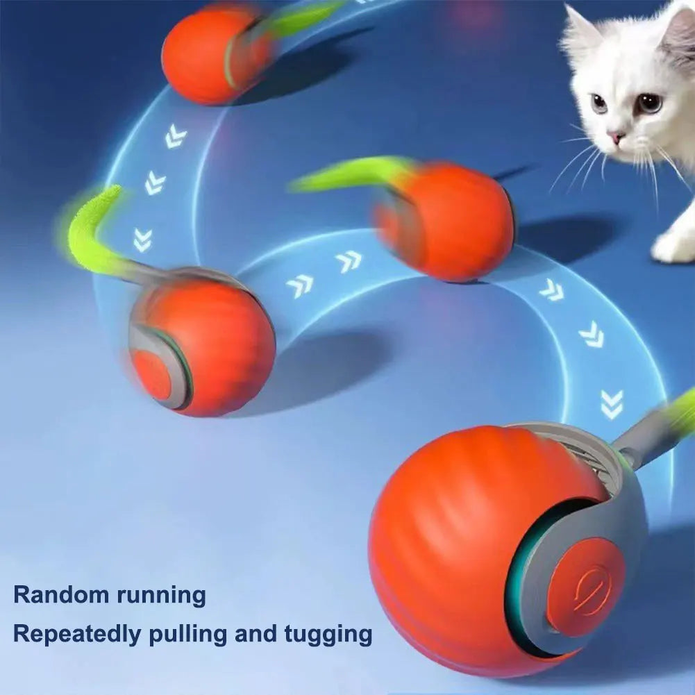 Bouncing Toy Ball for  Cats