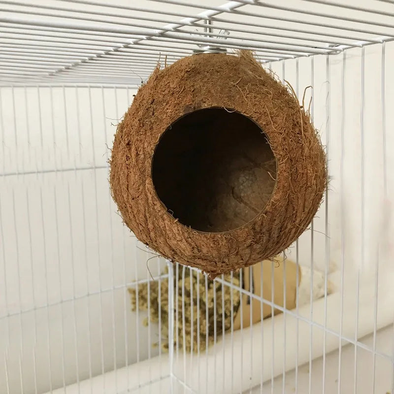 Natural Coconut  Shell Hideaway