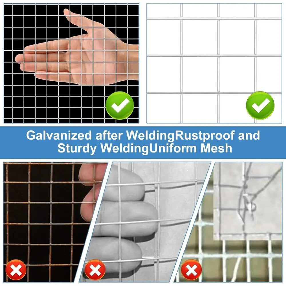 19 Gauge Galvanized Welded Wire Mesh