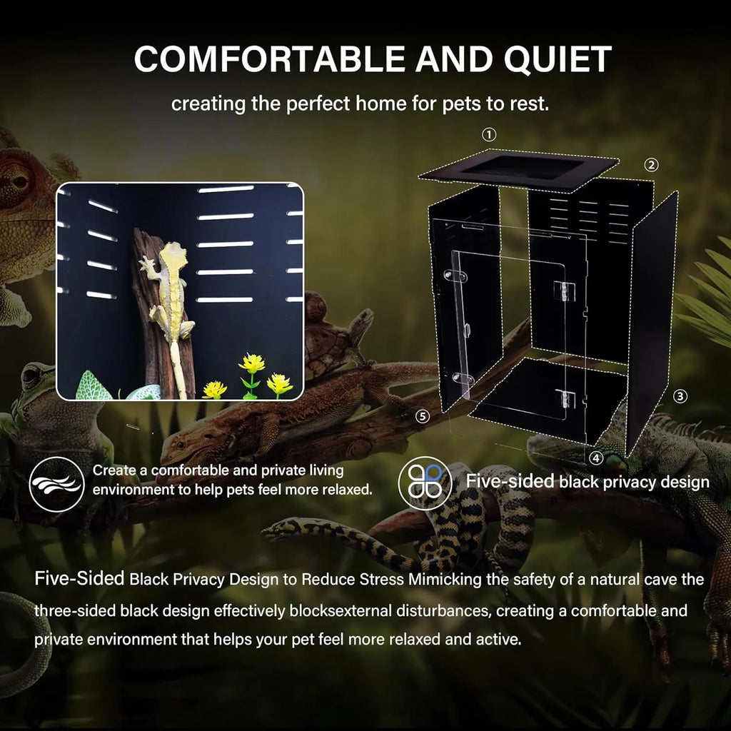 Acrylic Reptile Tank