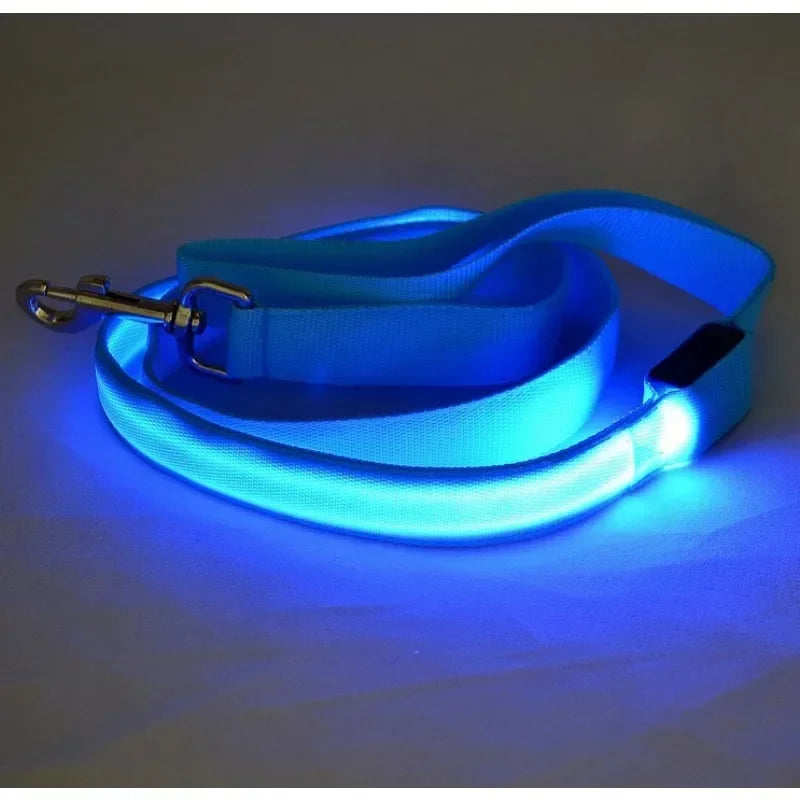 LED Light Up Dog  Leash
